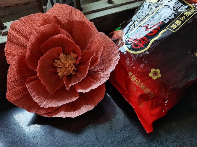 建甌市特藝紙制品廠